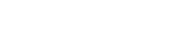 George M Kramer
Don Quixote